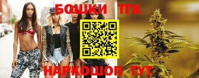 гидропоника Аша