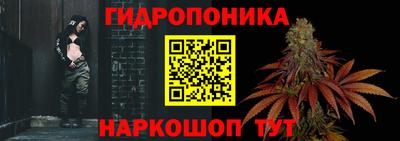 стаф Анжеро-Судженск