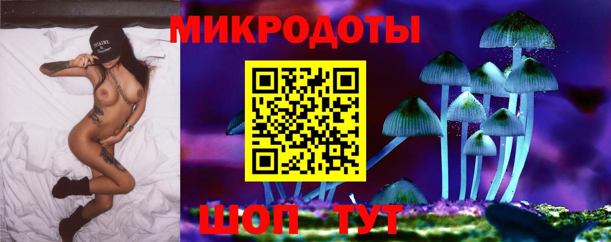 магазин продажи наркотиков  Галлюциногенные грибы мицелий  Псилоцибиновые грибы прущие грибы  Вход с VPN  Богданович 
