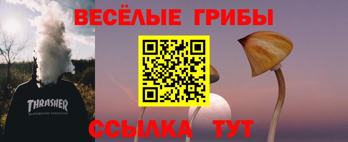 Галлюциногенные грибы GOLDEN TEACHER Богданович