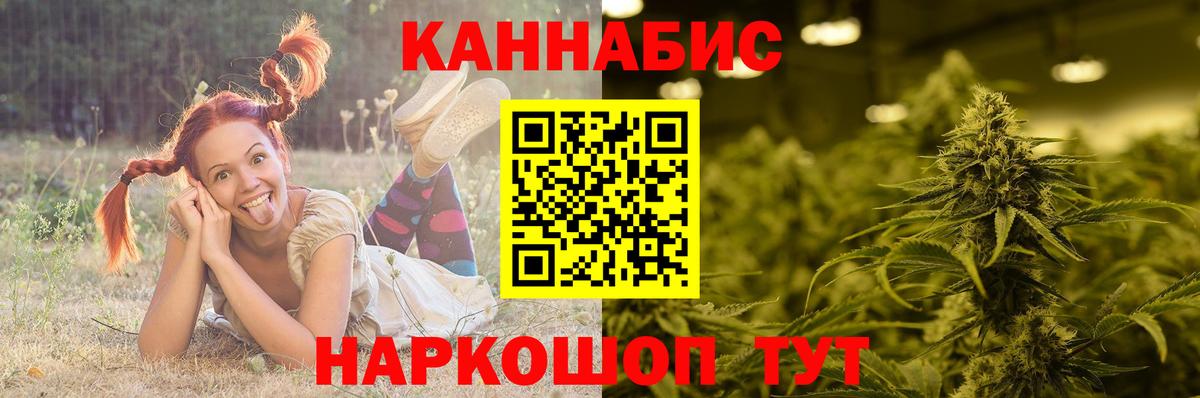 Шишки марихуана тримм Богданович